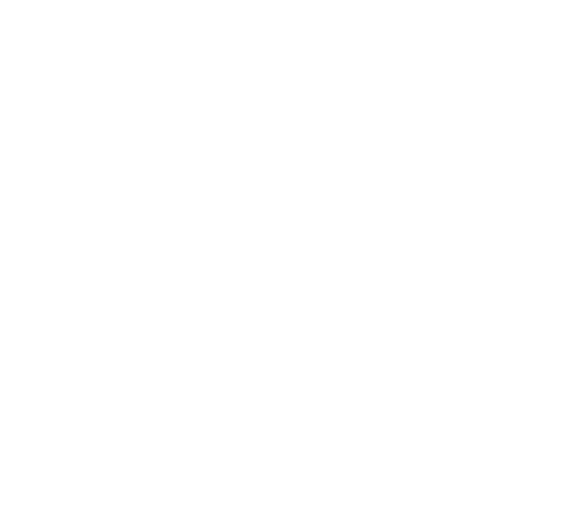 Regional Innovation & Regeneration Centre logo white